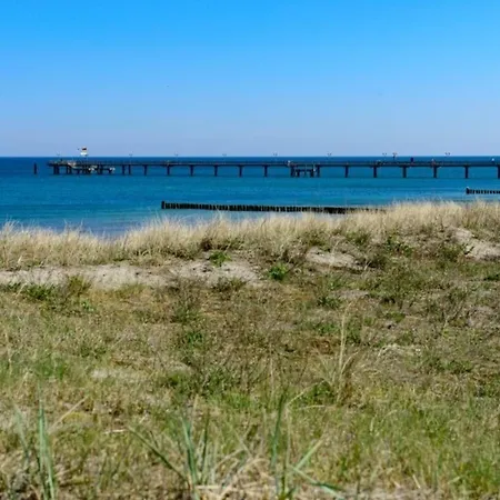 Kornblume غرال موريتز