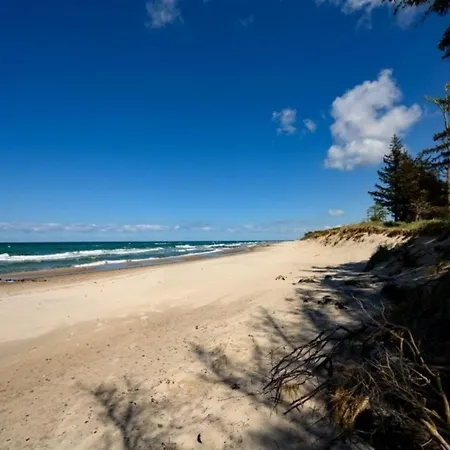 Kornblume * غرال موريتز