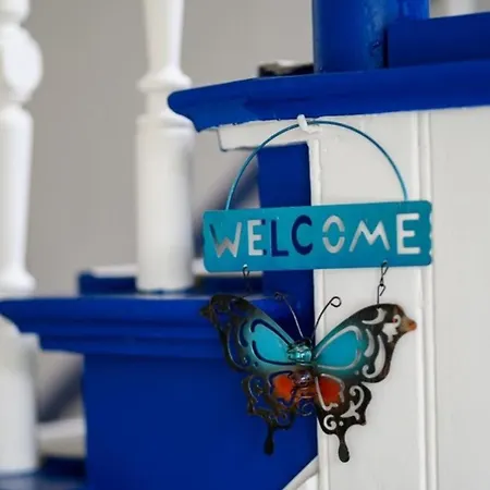 Kornblume غرال موريتز